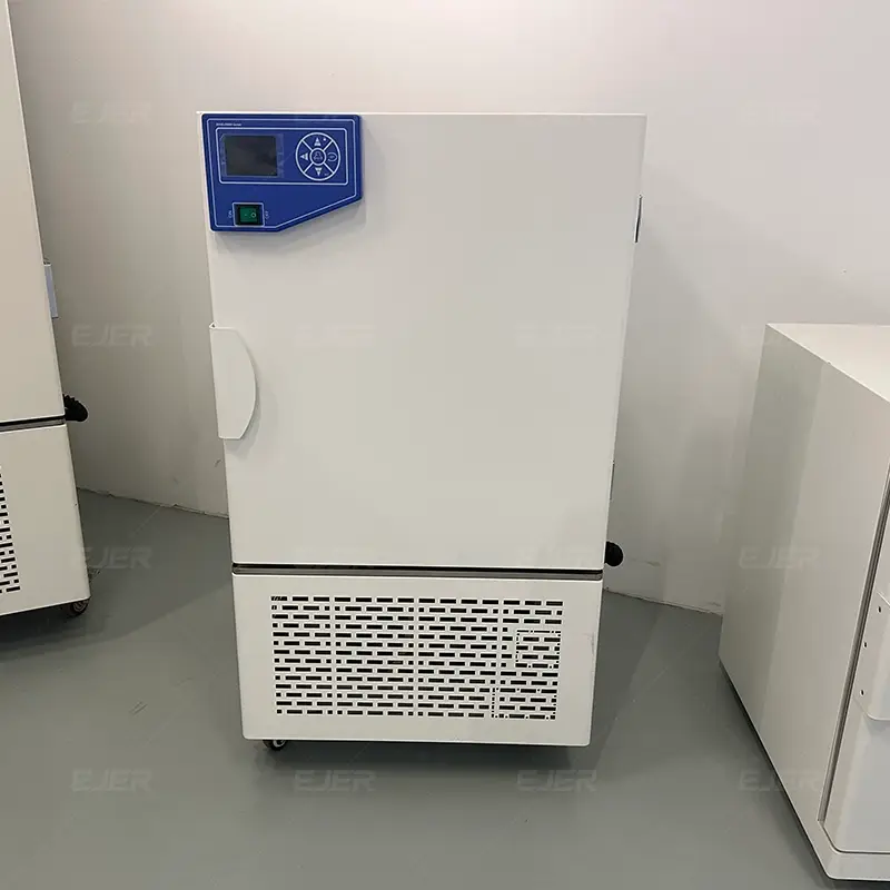 Digital Heating Incubator with Constant Temperature Control